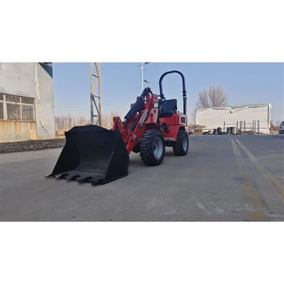 Lithium-Ion Electric Loader